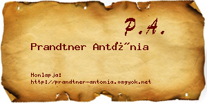 Prandtner Antónia névjegykártya